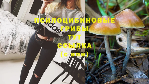 mdpv Протвино