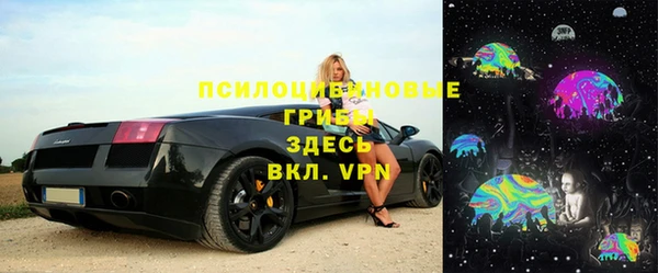 прущие грибы Пролетарск