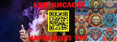 индика Волгодонск