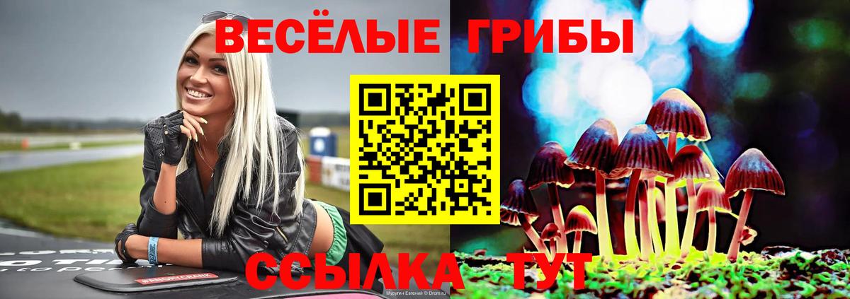 Галлюциногенные грибы Psilocybine cubensis  Бузулук 